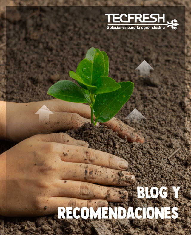 Cambiar imagen