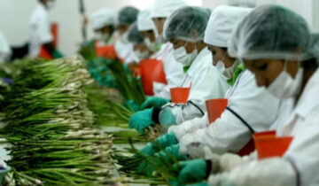 Fresh Report 2025: el futuro de la agroexportación peruana