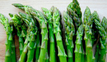 El auge y estancamiento del ‘oro verde’ peruano