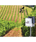 ESTACION METEOROLOGICA 2900ET CON SOFTWARE SPECWARE 9 PRO (3350WD2), - Imagen 4