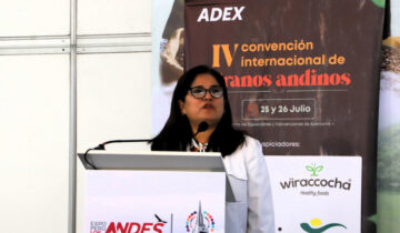 Perú fue el principal exportador mundial de quinua en el 2023