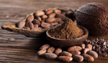 Cacao peruano: ¿cómo sostener el valor exportador frente a la caída de precios internacionales?