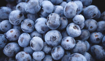 Perú se posiciona como el mayor exportador mundial de arándanos