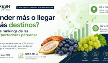 ¿Vender más o llegar a más destinos? Los dos rankings de las agroexportadoras