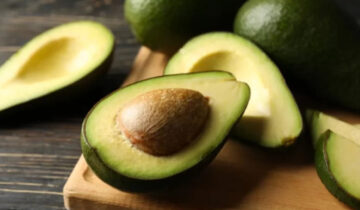 Palta peruana: mercados emergentes y el desafío logístico frente a la sobreoferta