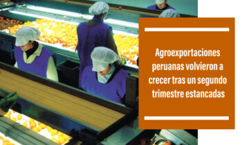 Agroexportaciones peruanas volvieron a crecer tras un segundo trimestre estancadas