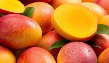 Exportaciones de mango peruano superan las 289 mil toneladas y consolidan acceso a más de 60 mercados