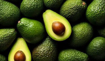 Filipinas le da el sí a la palta Hass peruana