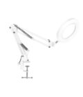 LUPA DE ESCRITORIO 10X ARTICULADO CON LUZ LED (LUP10XALED) - Imagen 2