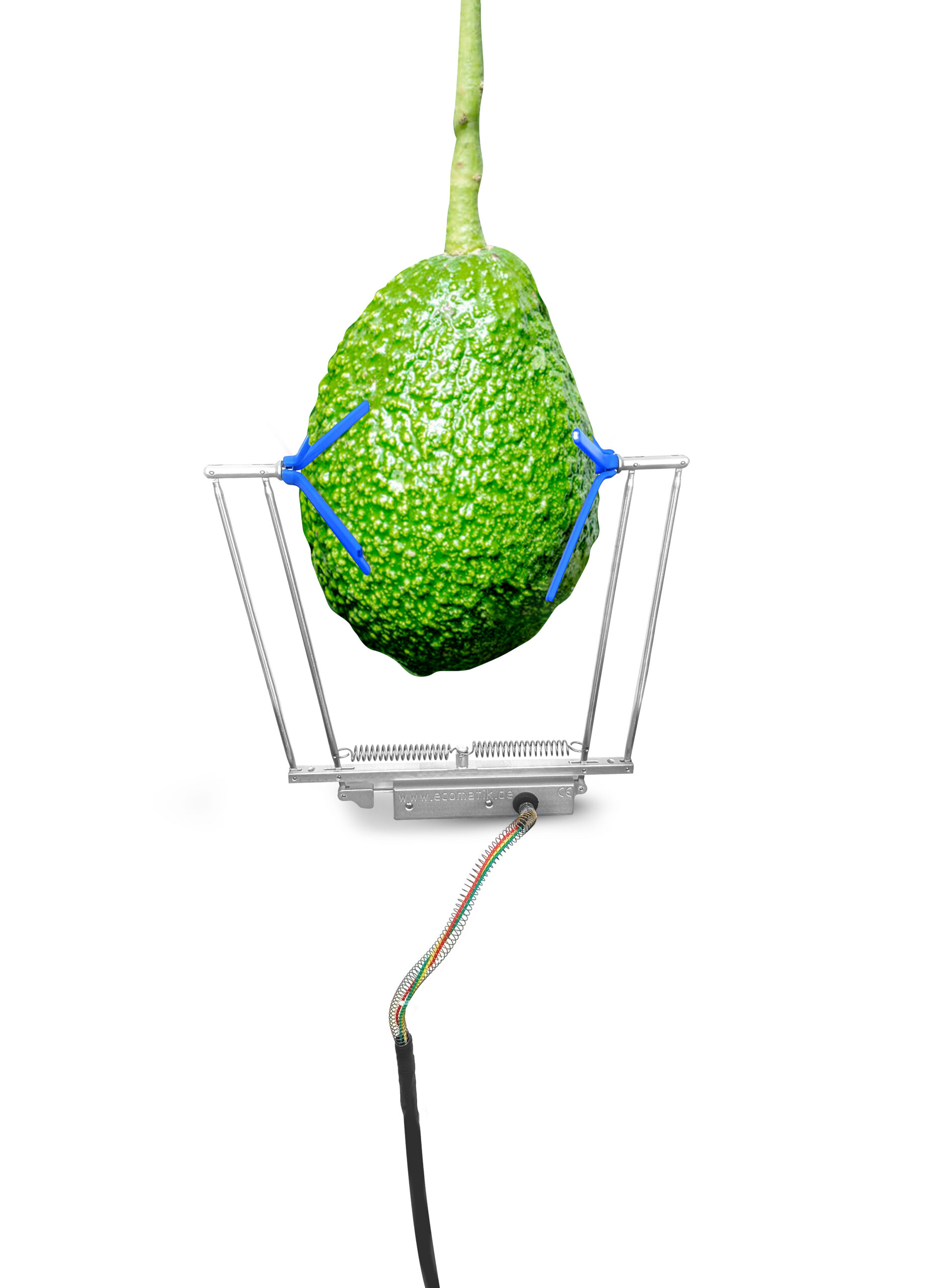 DENDRÓMETRO DE FRUTAS Y VERDURAS 130MM (DF4) - Imagen 2